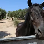 La Trottoria Otranto
