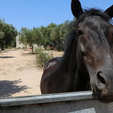 La Trottoria Agriturismo Otranto
