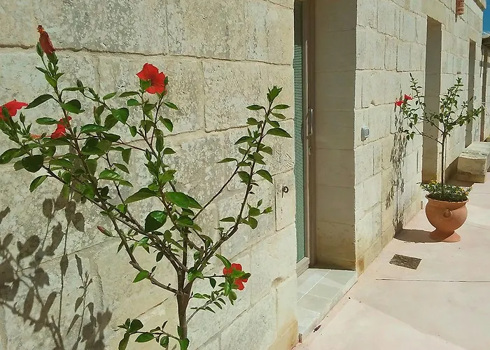 农家乐 La Trottoria