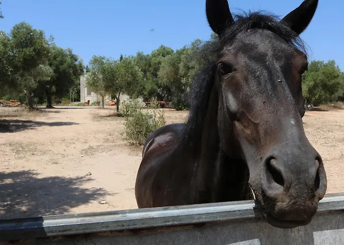 La Trottoria Agriturismo Отранто