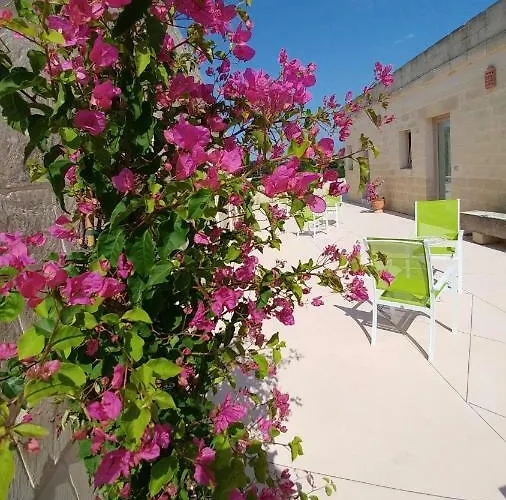 农家乐 La Trottoria